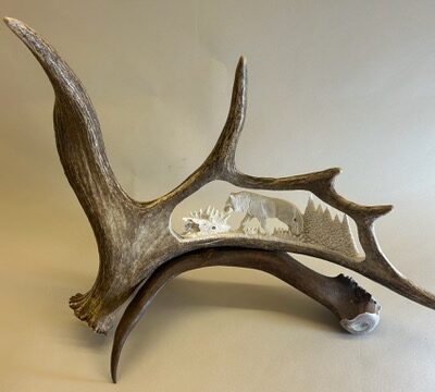 (wolo) Moose Antler Carving