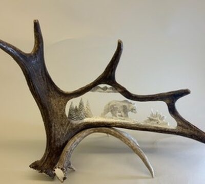 (bear) moose antler carving