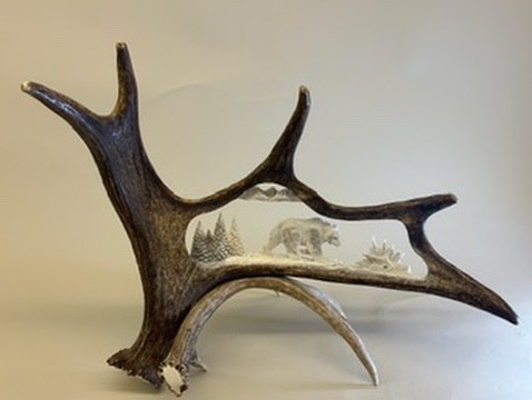 (bear) moose antler carving